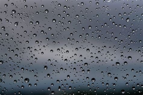 Vodné kvapky na listoch lotosu