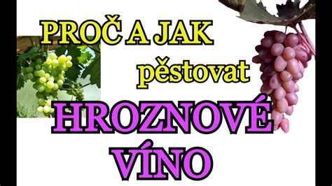 Infografika procesu výroby: od výberu hrozna cez dvojitú destiláciu až po zrenie v dubových sudoch