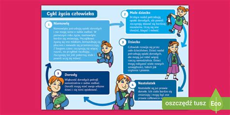 Infografika znázorňujúca kľúčové etapy rozvoja žiaka od 1. po 9. ročník