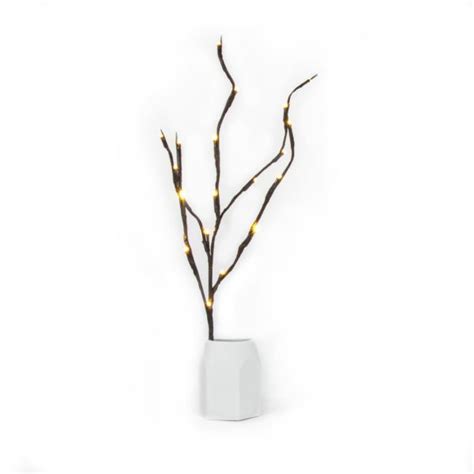 Detail osvetlenej brezy s teplými LED svetielkami