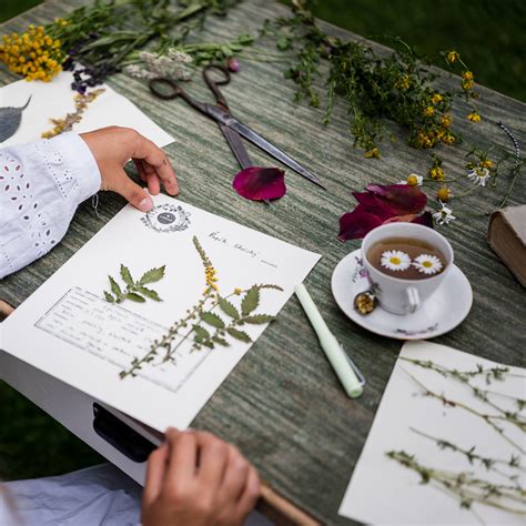 fotografia dieťaťa tvoriaceho herbár alebo maľujúceho