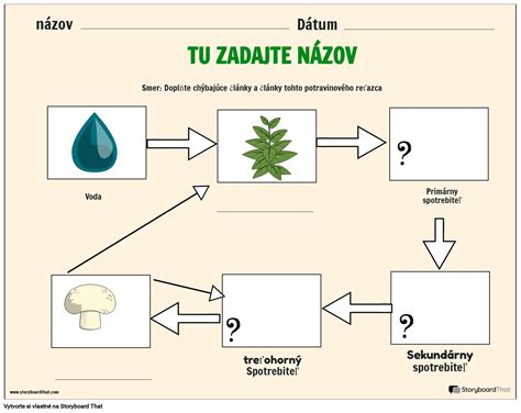 Vizualizácia rozkladného potravinového reťazca s príkladmi organizmov