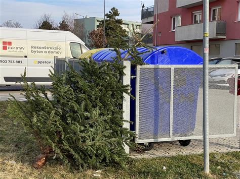 Vianočný stromček pri kontajneri na recykláciu