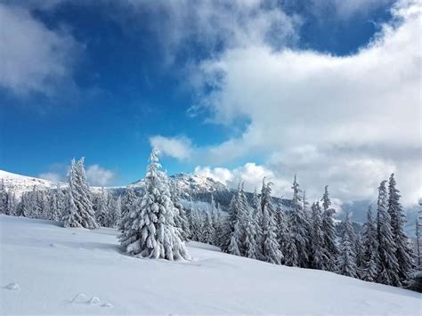 Zasnežená krajina s lyžiarmi na svahu na Východnom Slovensku