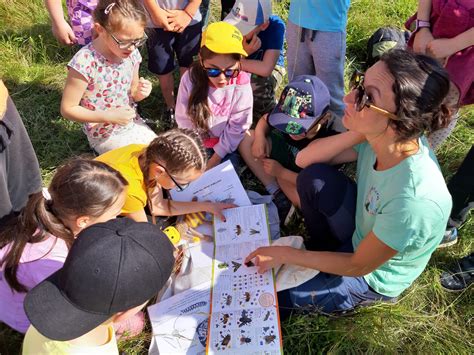 Ilustrácia didaktických pomôcok pre environmentálne vzdelávanie