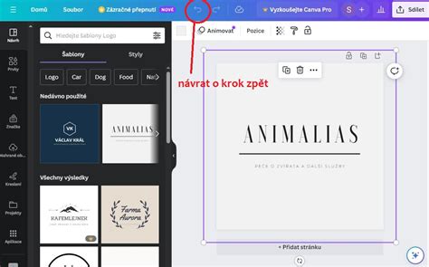 Schéma: Prehľad online editora na tvorbu fotodarčekov