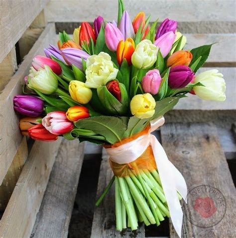 Fotografia tulipánovej ikebany s tromi tulipánmi v rôznych výškach