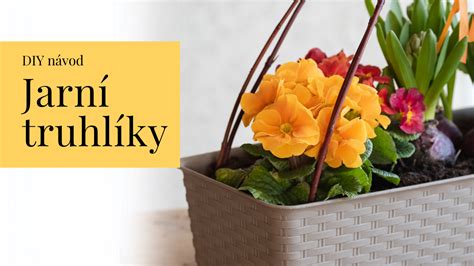 Fotografia: Jarný balkón s farebnými kvetinami a sviežou zeleňou