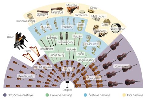 Ilustrácia hudobných nástrojov zapojených v Karnevale zvierat, ako sú klavíry, sláčiky, flauta, klarinet, xylofón a zvonkohra.