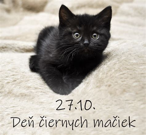 ilustračná fotografia výzdoby domov v Nemecku počas Halloweenu