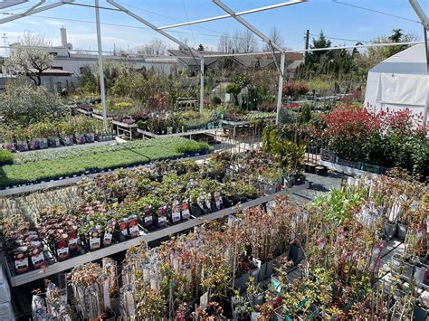 Široký sortiment okrasných a ovocných drevín