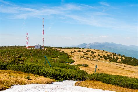 Deti pozorujú jašterice počas environmentálnej výchovy