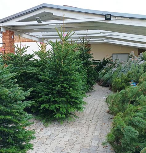 vizualizácia minimalistického vs. maximalistického vianočného stromčeka