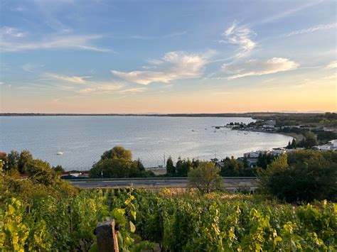 Tematické foto hotela Eurobus s výhľadom na Zemplínsku šíravu v zimnom období