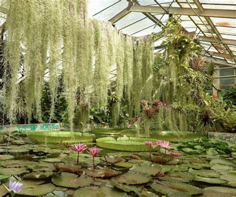 Botanická záhrada v Funchali, Madeira