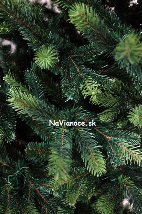 Porovnanie detailov 3D a FULL 3D ihličia na vianočnom stromčeku