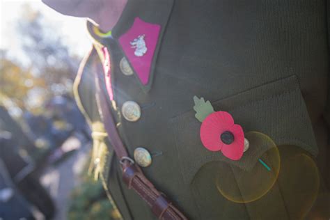 Symbolické znázornenie obetí prvej svetovej vojny (červené maky)