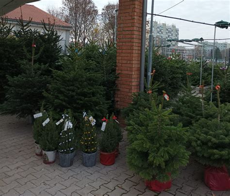 Ilustrácia rôznych metód výroby papierových vianočných stromčekov