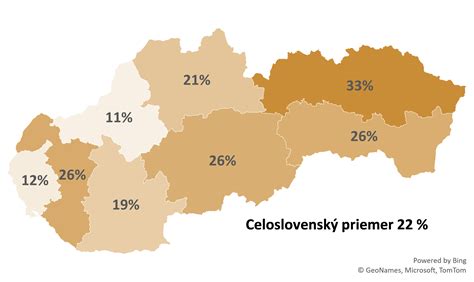 ilustrácia mladomanželov s administratívnymi dokumentmi a usmiatymi tvárami