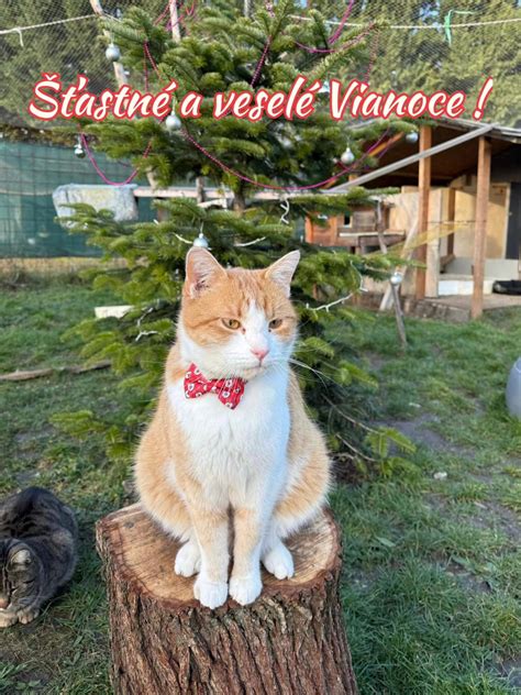 fotografia zosnulého v kruhu rodiny