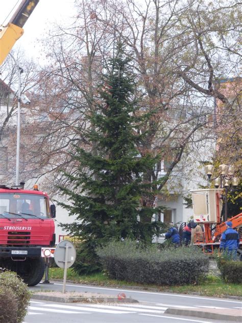 Schéma aklimatizácie vianočného stromčeka: z obývačky cez chodbu do garáže a následne do záhrady