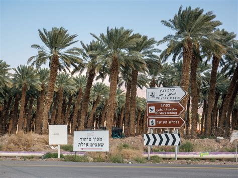 Rustikálne smerovacie tabule s nápismi a kvetmi