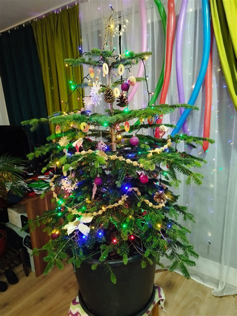 galéria alternatívnych vianočných stromčekov