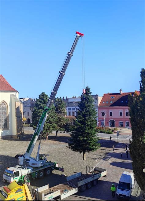 Záber na 13,5-metrovú jedľu bielu umiestnenú pred Konkatedrálou sv. Mikuláša v Prešove.