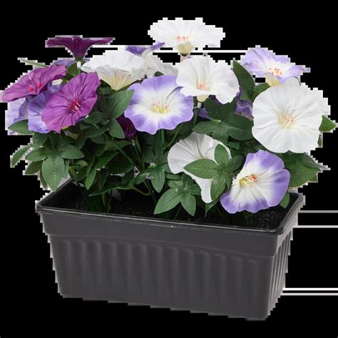 Zostava petúnií Karneval v kvetináči (červená, žltá, modrofialová)