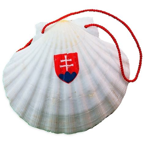 Tradičná havajská mušľa držaná v ruke.