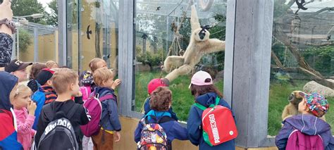 ZOO Schönbrunn - rodinný výlet a aktivity pre deti