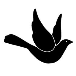 symbol Ducha Svätého - holubica