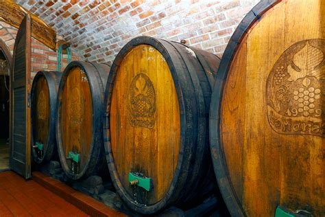 Detailná schéma vínnej pivnice s degustačným posedením a sudmi s vínom