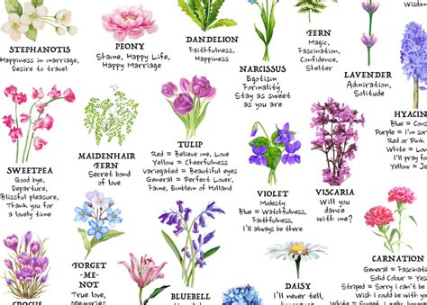 Infografika: Typy anjelských sošiek a ich symbolika