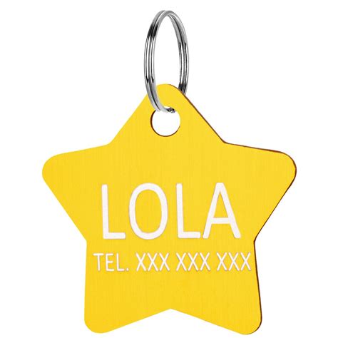 Príklad vyrobenej psia známky s menom psa a telefónnym číslom.