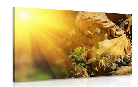 Pokojný obraz prírody s lúčmi slnka, symbolizujúci požehnanie a nádej