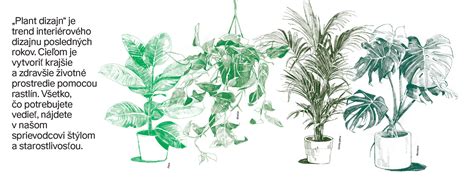 Ilustrácia rôznych farebných palet a ich symboliky pre svadbu