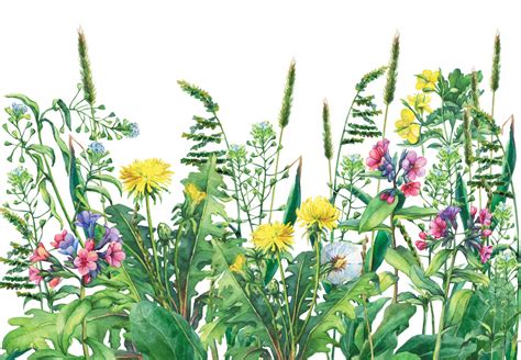 Detailná schéma usporiadania boho svadobného stola: prírodné materiály, lúčne kvety v skle a sviečky