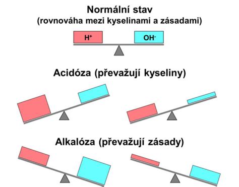 ilustračná schéma morálnych hodnôt a rovnováhy