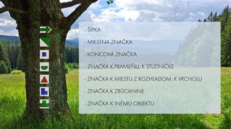 Infografika: Vysvetlenie princípov a cappella hudby
