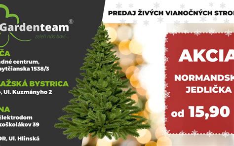 Plantáž vianočných stromčekov