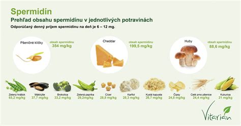 Infografika: Paleta modrých a zelených vianočných odtieňov a ich kombinácie