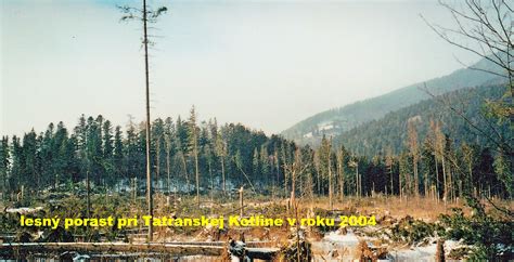 fotografia zničeného tatranského lesa po veternej kalamite 2004