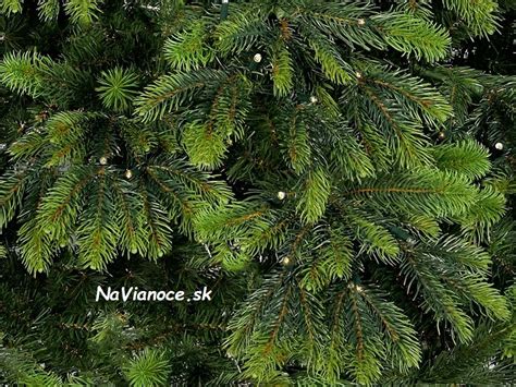 Detail 3D ihličia vianočného stromčeka Nevada s prechodmi farieb
