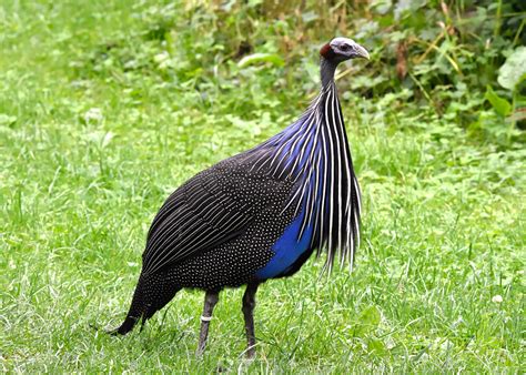 Schéma štruktúr vyšívacích látok (perlička, panama, kanava)