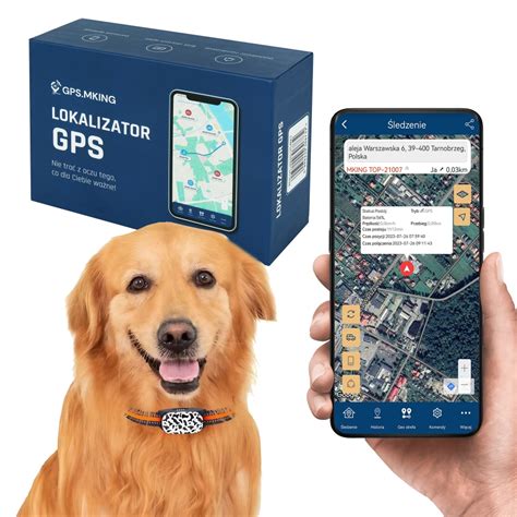 Ilustrácia: Smart obojok s GPS a aplikácia pre sledovanie aktivity psa