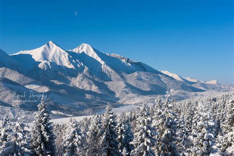 Panoráma Zakopaného v zime s pohľadom na Tatry