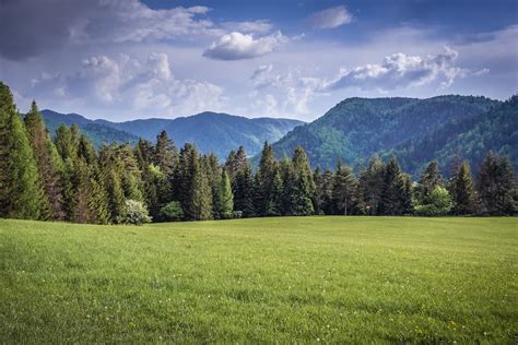 Thematic photo of the entrance to Gombasecká Cave in the Slovak Karst National Park.
