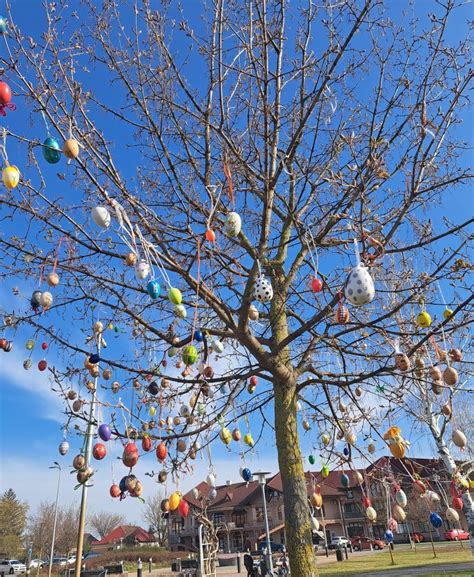 Fotografia veľkonočného stromu ozdobeného vajíčkami