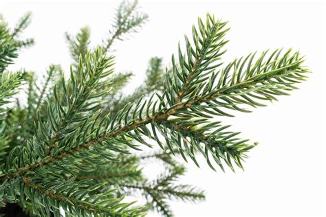 Schéma porovnávajúca klasické 3D a FULL 3D ihličie